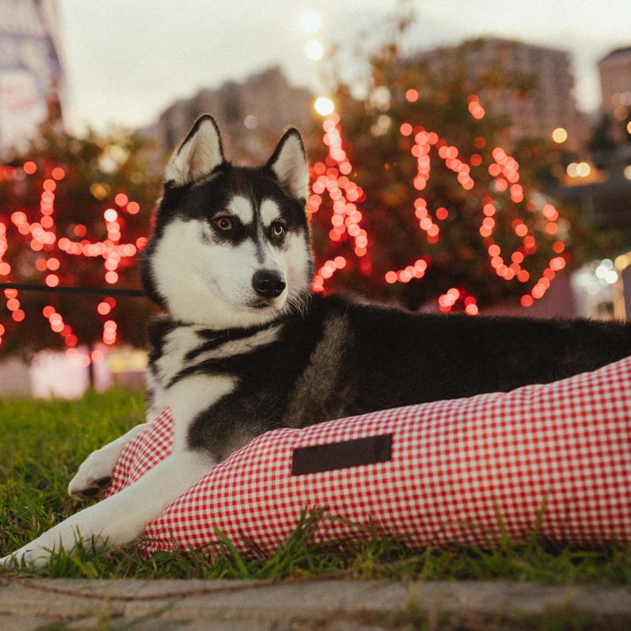 CAMA IMPERMEABLE VICHY ROJO - M, , large Imagen numero 2